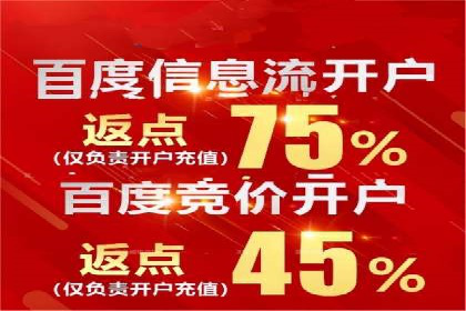 SEM推广公司案例分享：电商品牌崛起之路